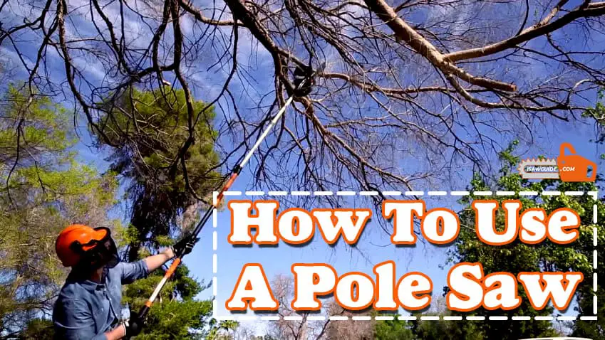 How to Use a Pole Saw