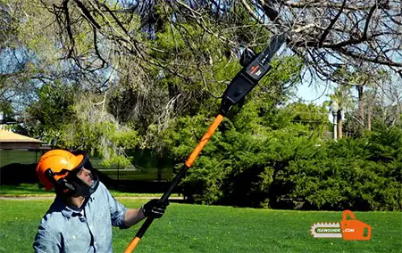 How To Cut Tree Limbs or Branches with Pole Saw That Are Too High To Reach