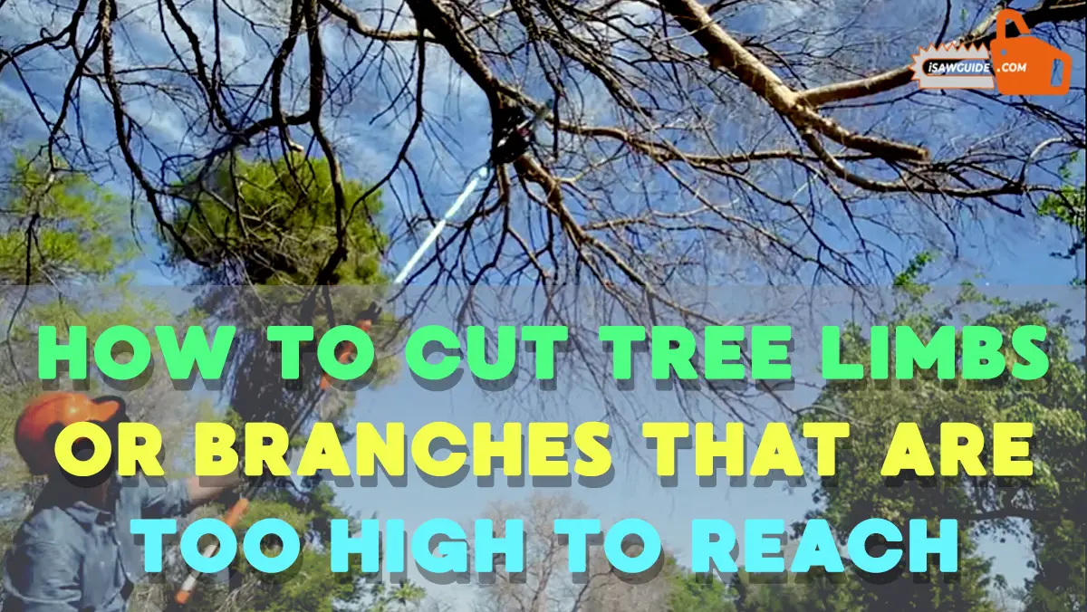 How To Cut Tree Limbs or Branches That Are Too High To Reach