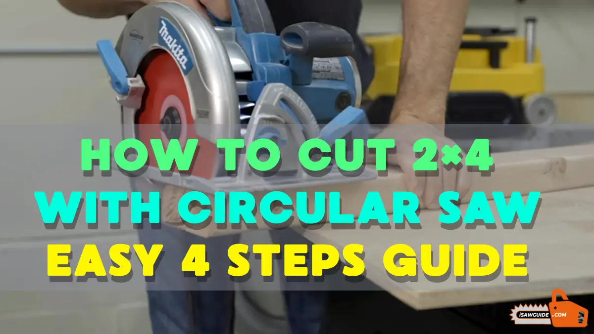 How to Cut 2×4 with Circular Saw – Easy 4 Steps Guide