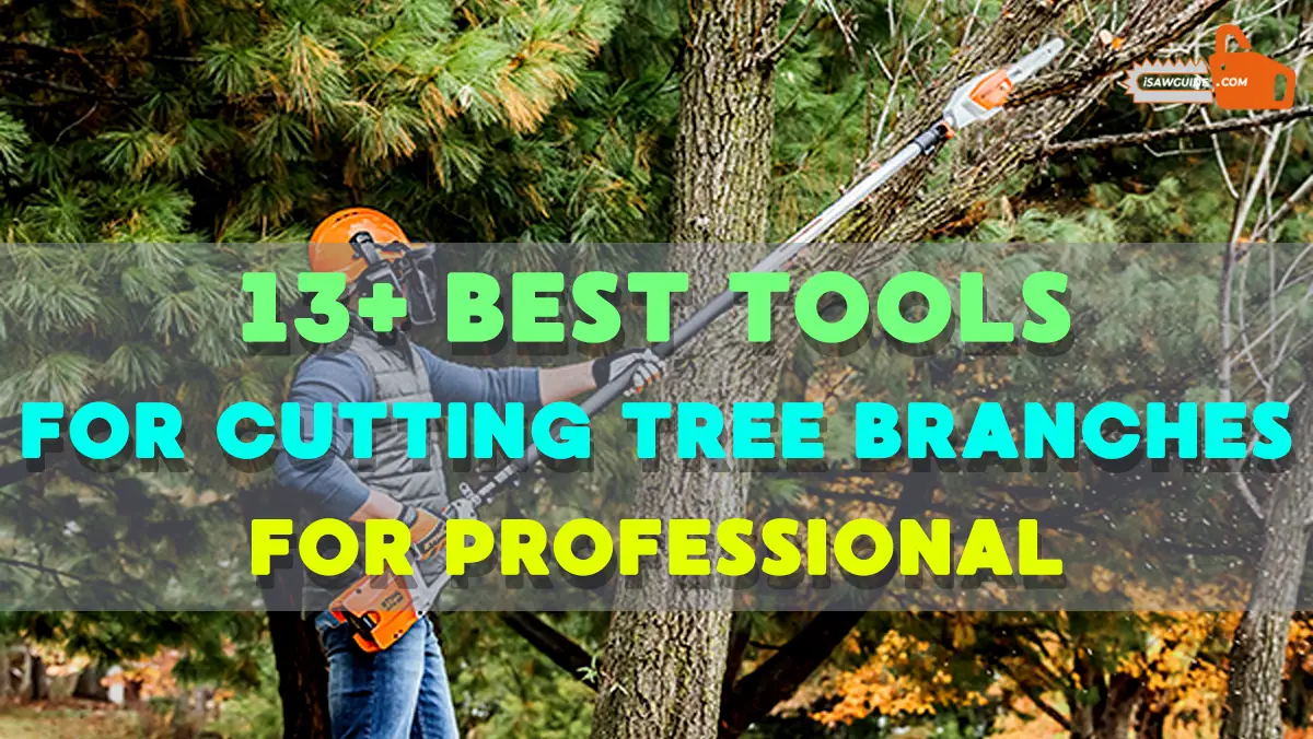Best Tools For Cutting Tree Branches For Professional