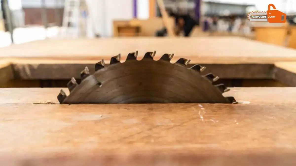 7 Best Types of Table Saw Blades for Cutting Plywood & Metal